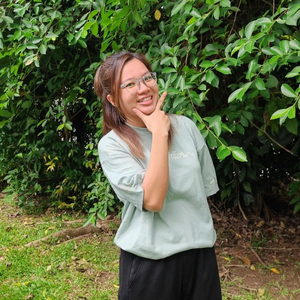 Teacher Mushroom – 任务领队